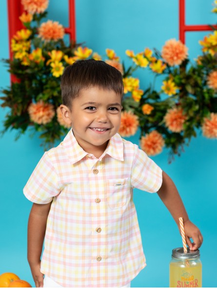 Camisa Cuadros Holanda