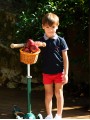 Provenza polo t-shirt