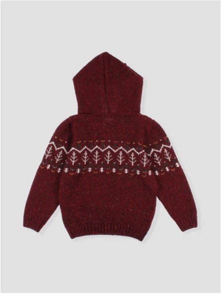 Jersey con Capucha Burgundy