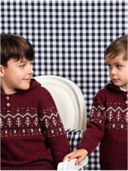 Jersey con Capucha Burgundy