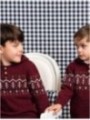 Jersey con Capucha Burgundy