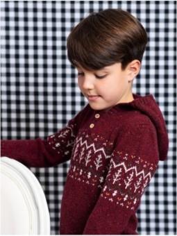 Jersey con Capucha Burgundy