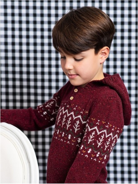 Jersey con Capucha Burgundy