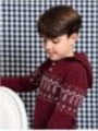 Jersey con Capucha Burgundy