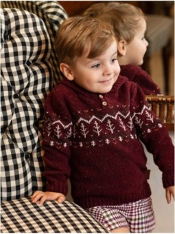 Jersey con Capucha Burgundy