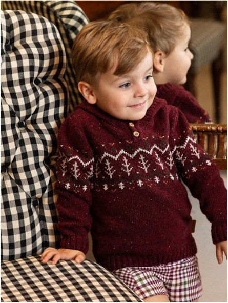 Jersey con Capucha Burgundy