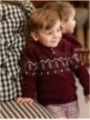 Jersey con Capucha Burgundy