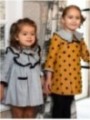 Plumetis dress