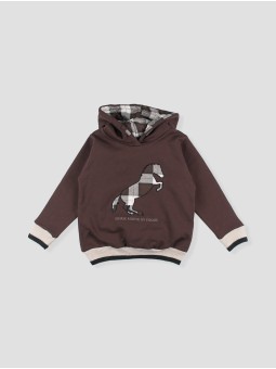 Brown hooded sweatshirt