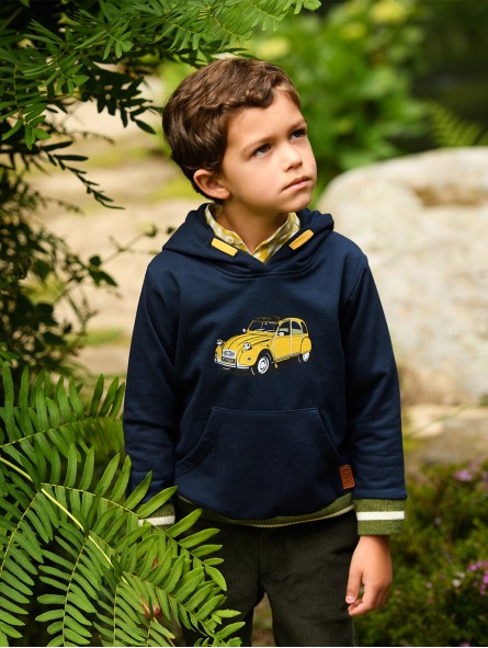 Sudadera com capucha dois cavalos