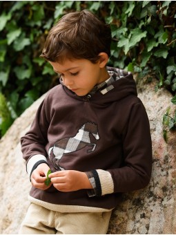 Brown hooded sweatshirt