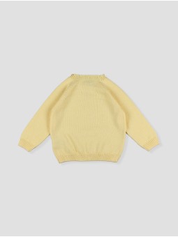 Camisola Intarsia Peixe