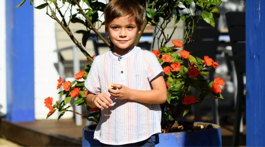  Niño