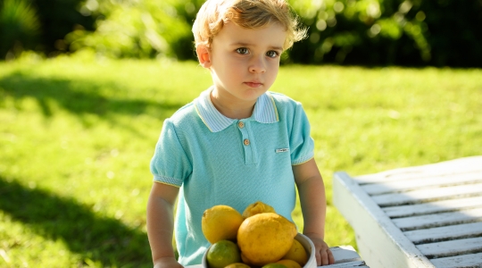  Bebe